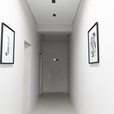 Img 9661